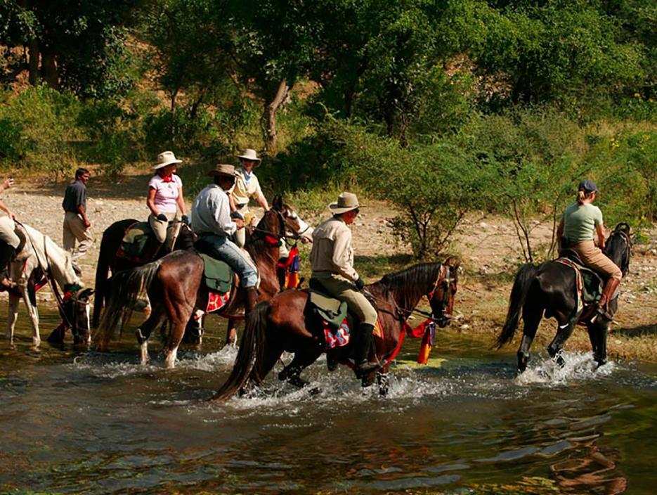 Mount Batten Lodge Ranakpur Εξωτερικό φωτογραφία